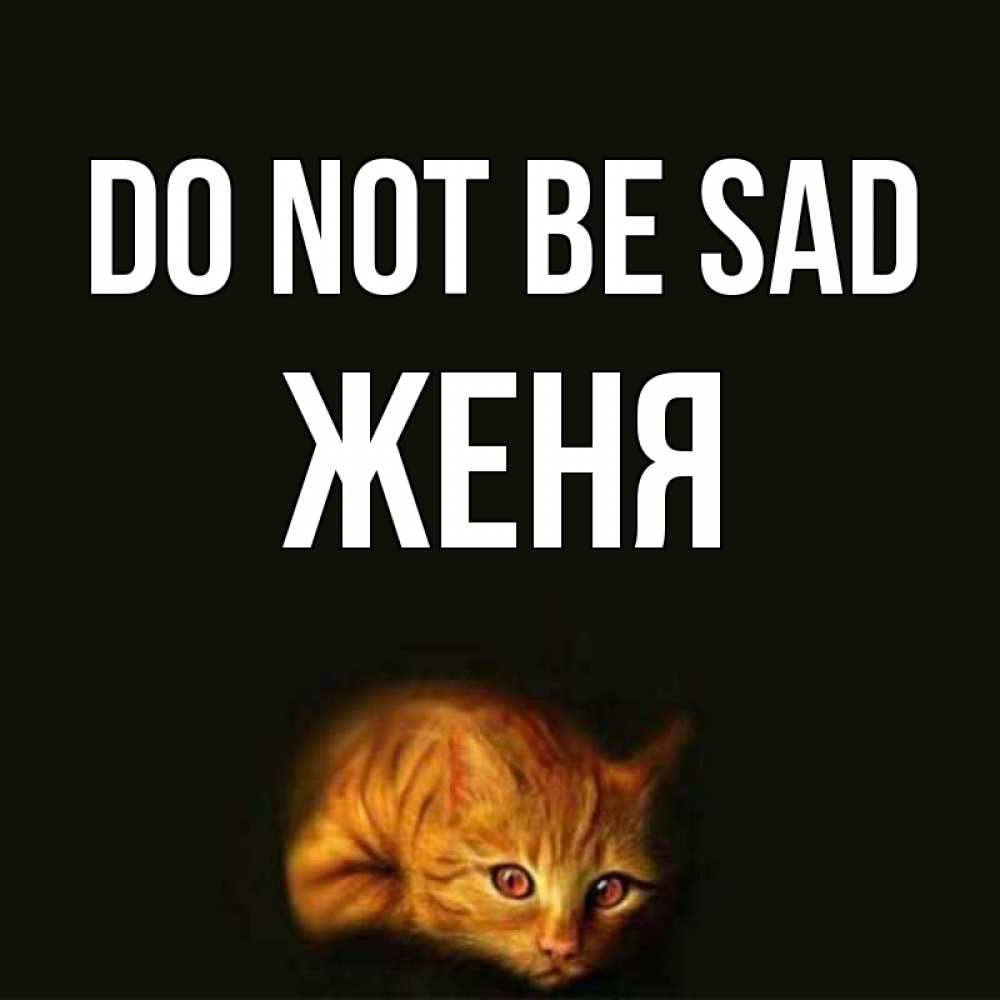 Greetings card с именем, Женя Do not be sad лежащий кот в темноте Greetings with text for free download 