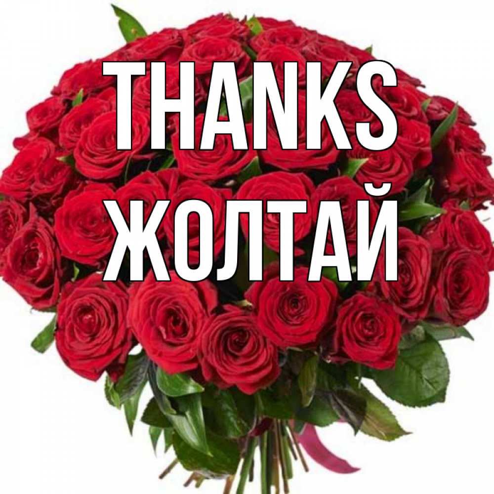 Greetings card с именем, Жолтай Thanks букет красных роз Greetings with text for free download 