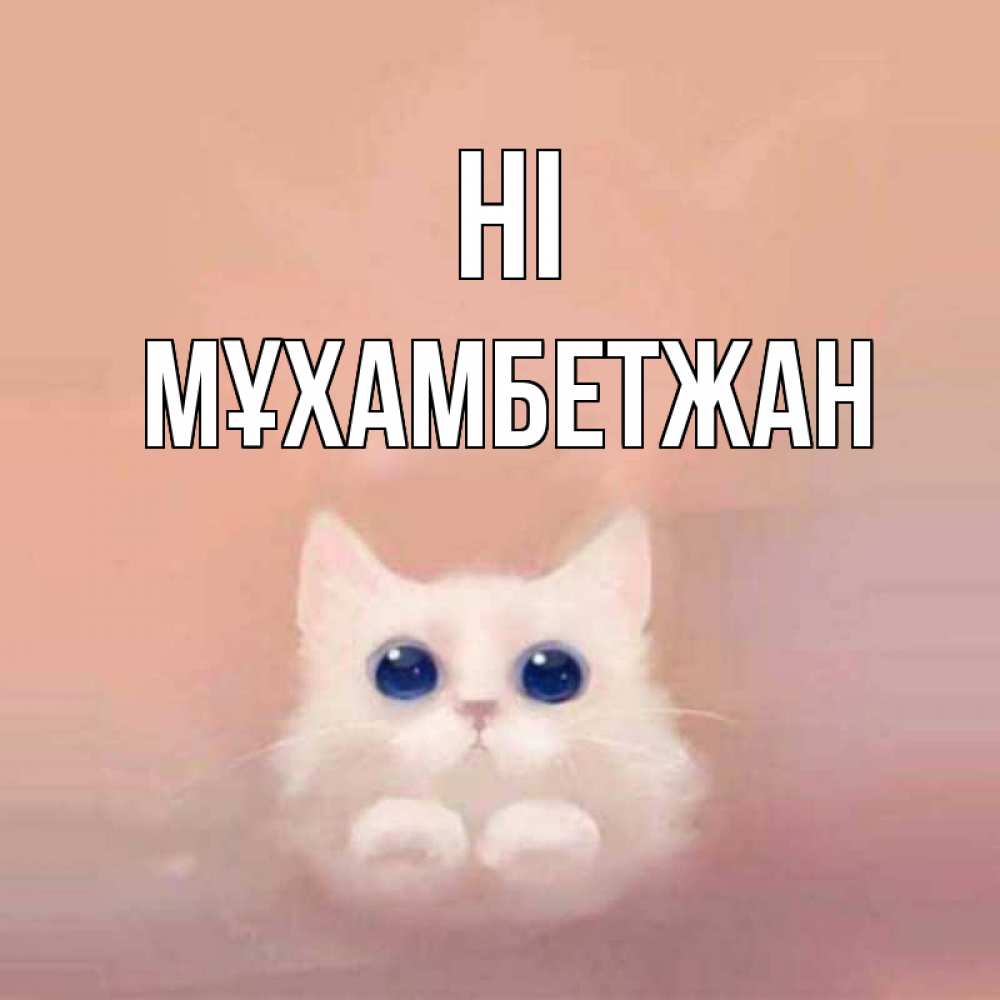 Greetings card с именем, МҰХАМБЕТЖАН Hi котик белый в полете Greetings with text for free download 