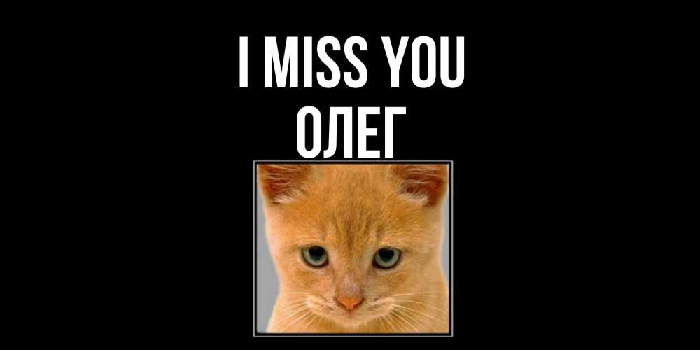 Greetings card с именем, Олег I miss you открытки рыжий котенок скучает по тебе Greetings with text for free download 