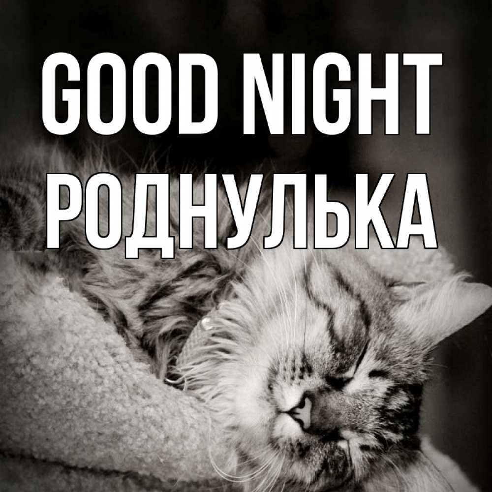 Greetings card с именем, Роднулька Good night котярик пушистый Greetings with text for free download 