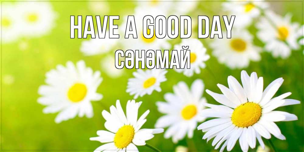 Greetings card с именем, СӘНӘМАЙ Have a good day открытка с ромашками на зеленом фоне Greetings with text for free download 