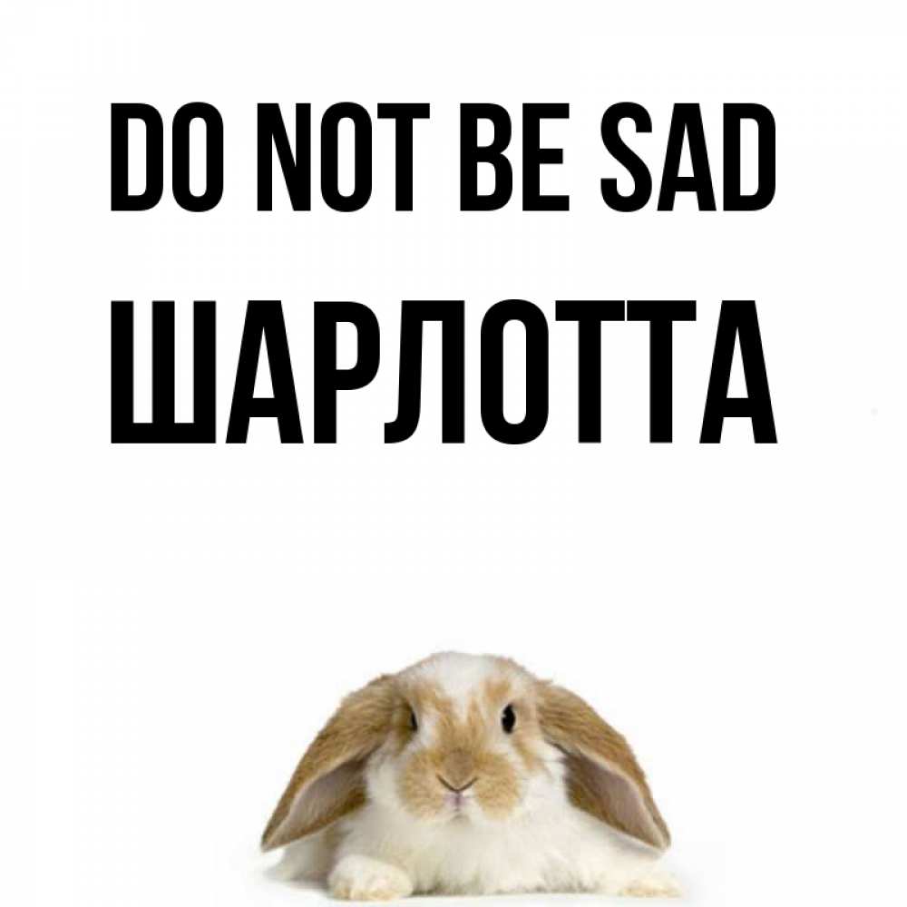 Greetings card с именем, Шарлотта Do not be sad коричнево белый заяц с большими ушками Greetings with text for free download 