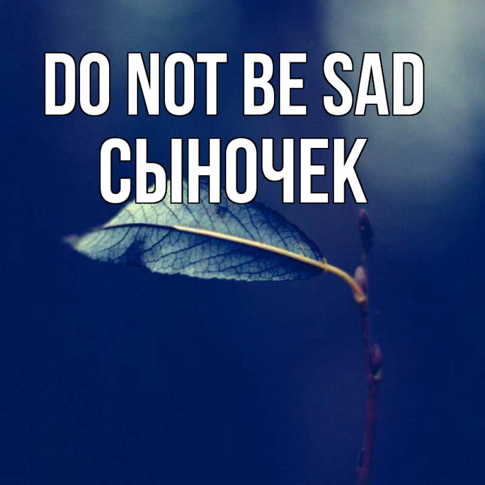 Greetings card с именем, Сыночек Do not be sad растение Greetings with text for free download 