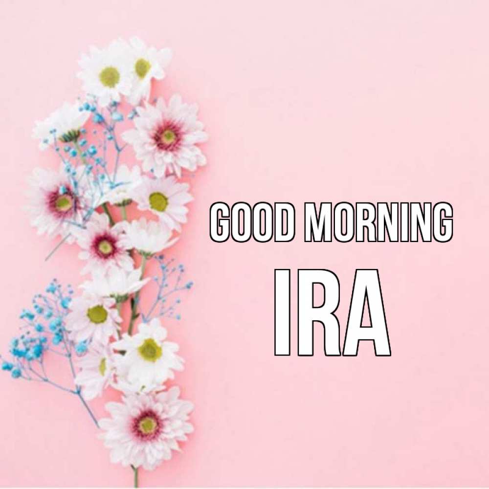 Greetings card с именем, Ira Good morning цветы с подписью Greetings with text for free download 