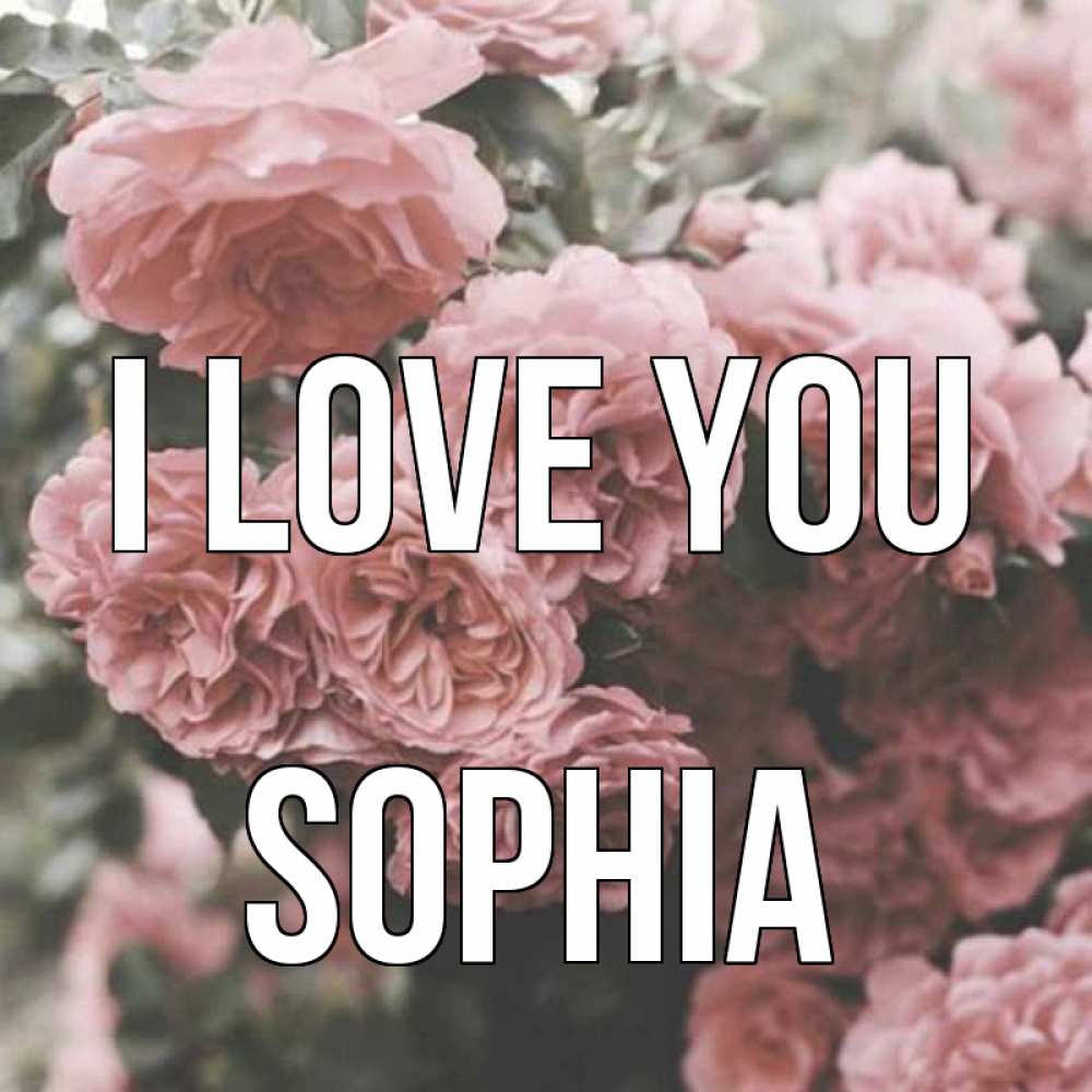 Greetings card с именем, Sophia I love you розы 3 Greetings with text for free download 
