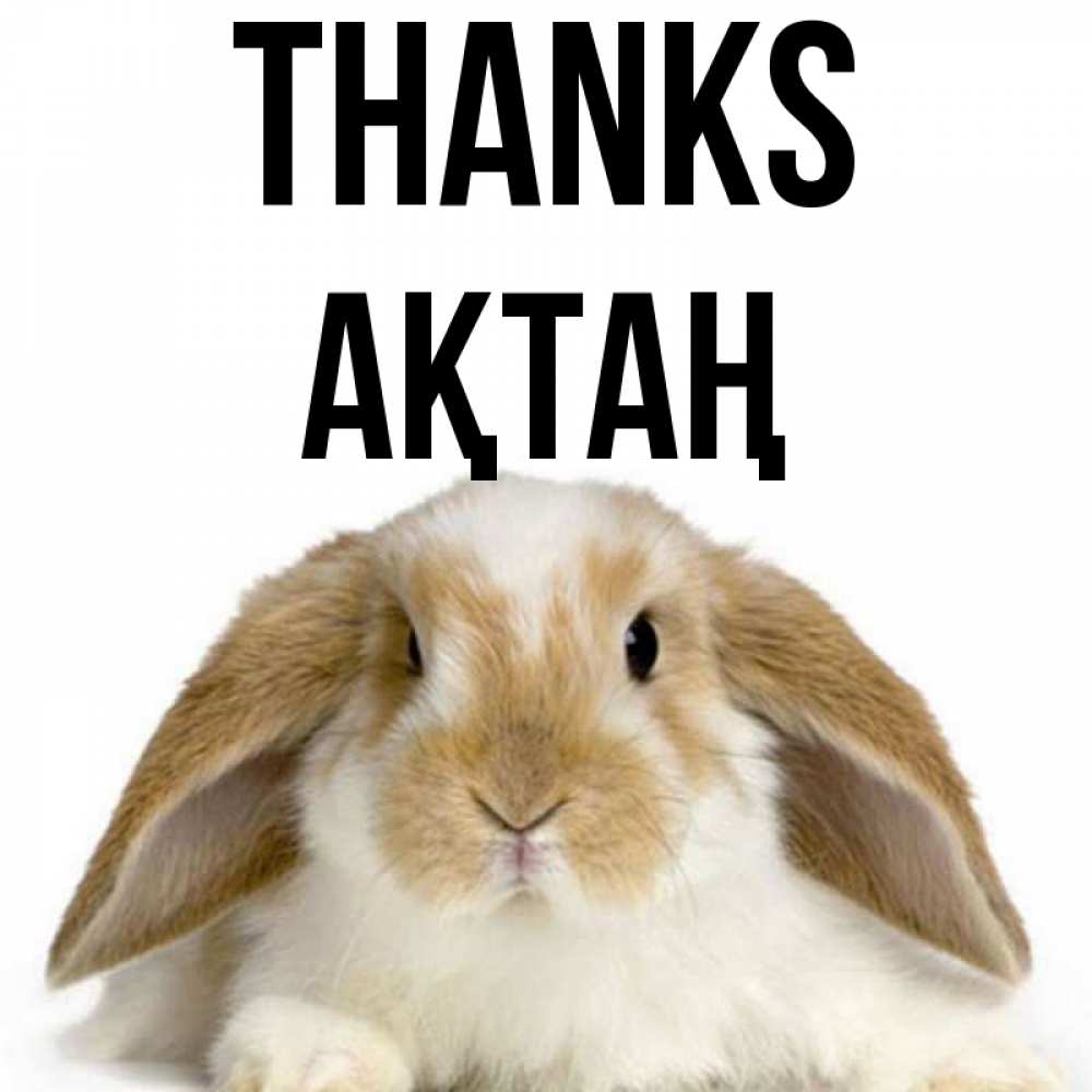 Greetings card с именем, Ақтаң Thanks коричнево белый заяц Greetings with text for free download 