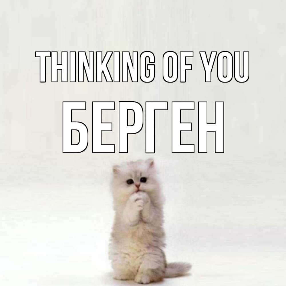 Greetings card с именем, Берген Thinking of you кот стоит на задних лапах Greetings with text for free download 