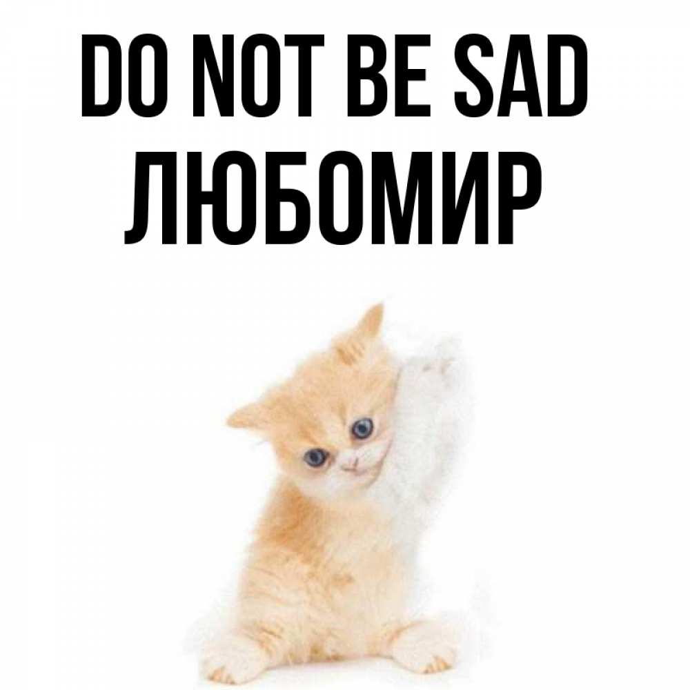 Greetings card с именем, Любомир Do not be sad просящий кот Greetings with text for free download 