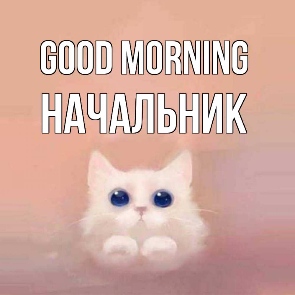 Greetings card с именем, Начальник Good morning на розовом фоне Greetings with text for free download 