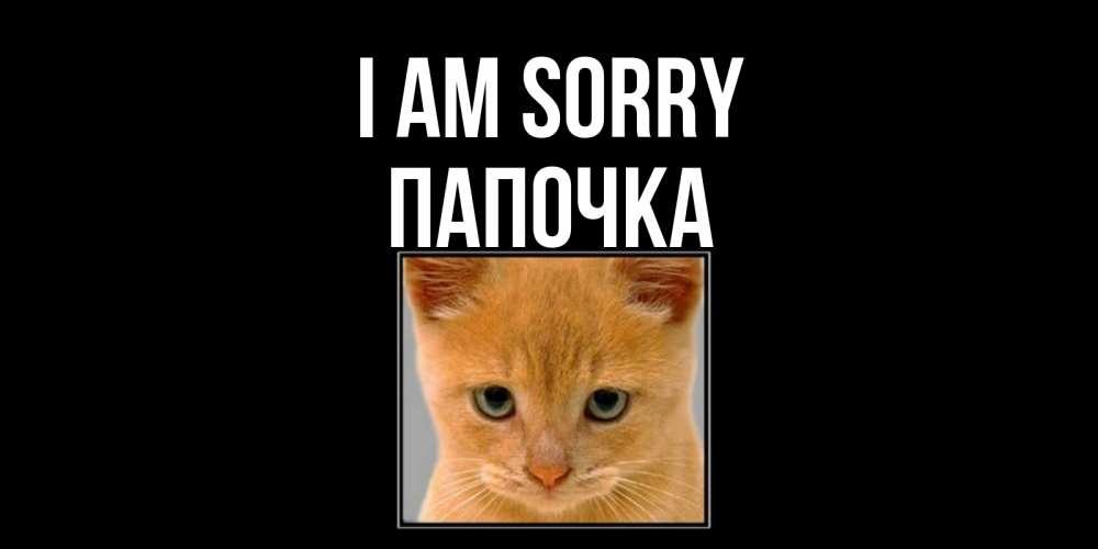 Greetings card с именем, Папочка I am sorry рыжий грустный кот просит прощения Greetings with text for free download 
