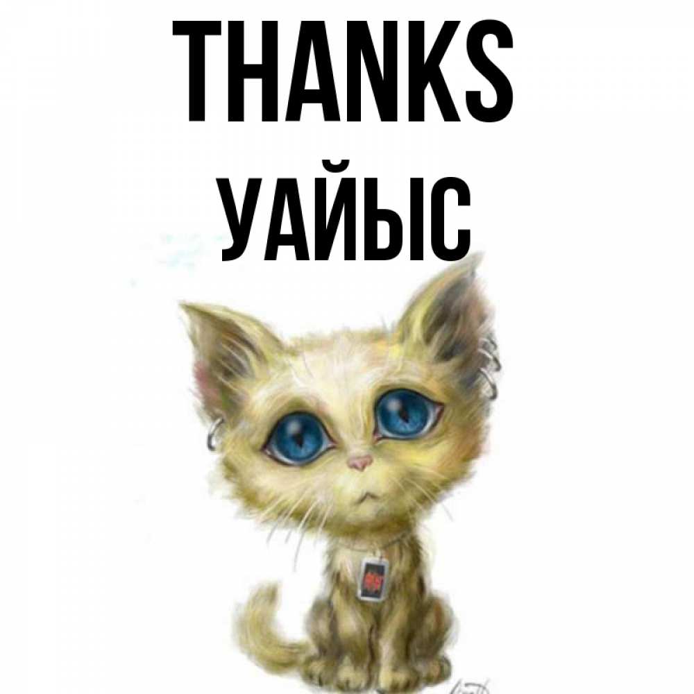 Greetings card с именем, УАЙЫС Thanks рисованный кот благодарит вас Greetings with text for free download 