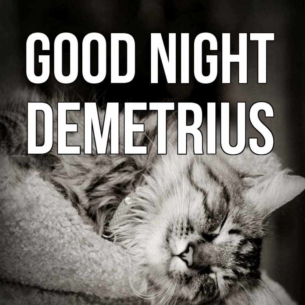 Greetings card с именем, Demetrius Good night котярик пушистый Greetings with text for free download 