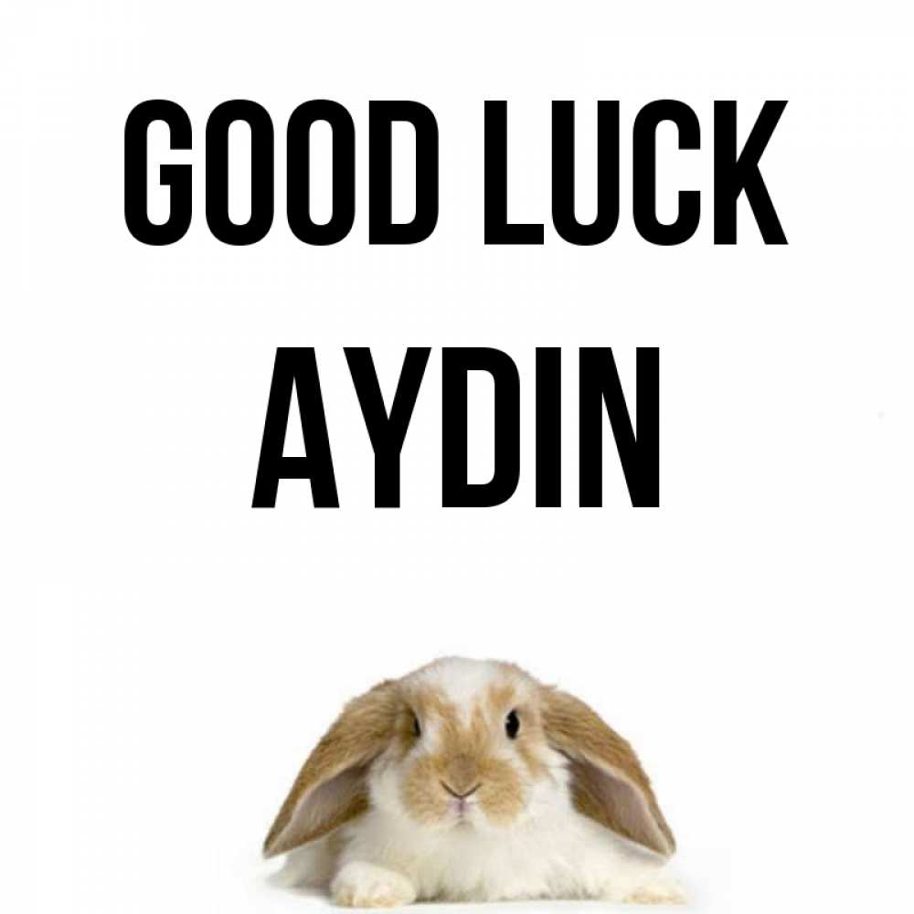 Greetings card с именем, Aydin Good luck открытки с произвольным текстом который можно вставить в открытку и создать ее самостоятельно бесплатно онлайн Greetings with text for free download 