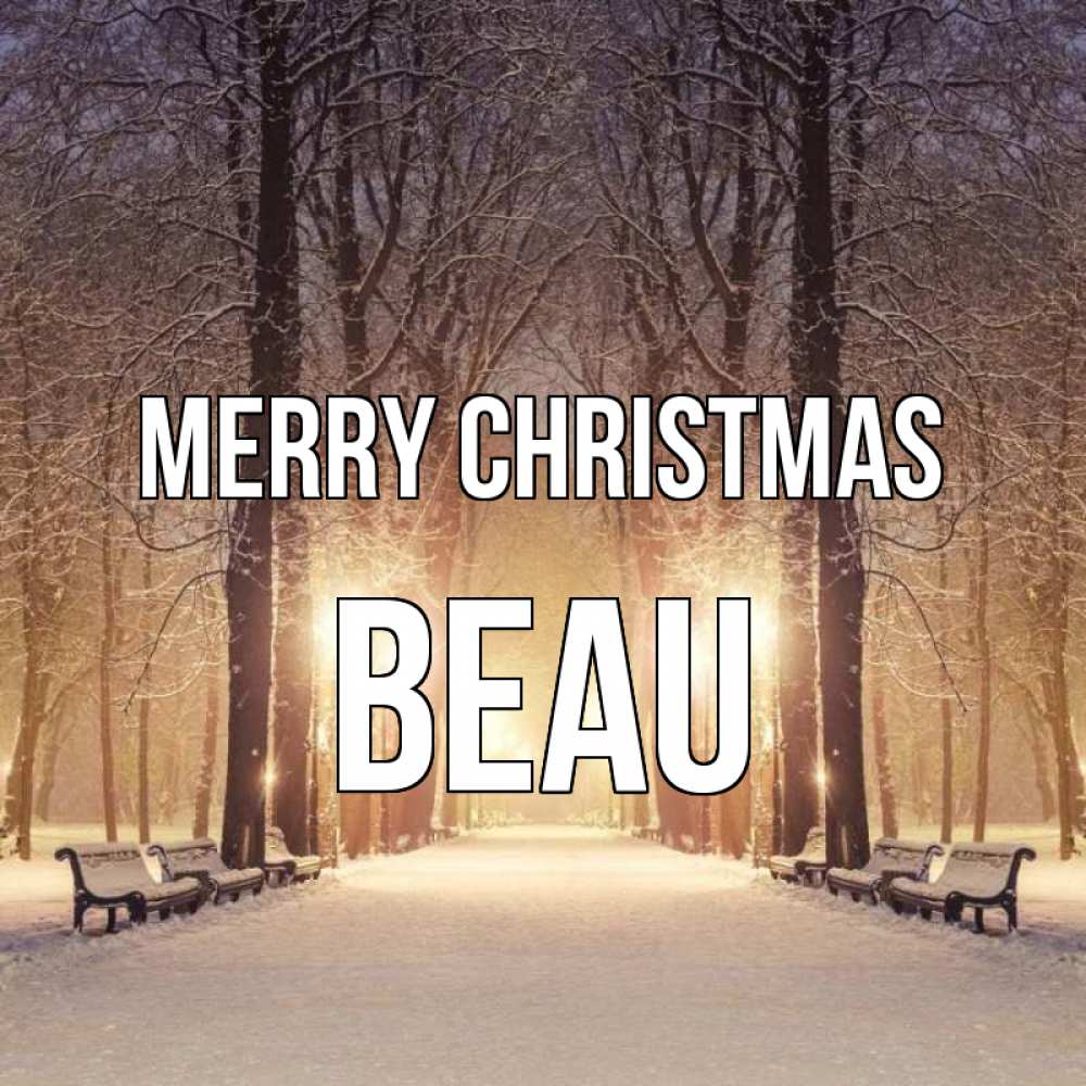 Greetings card с именем, Beau Merry Christmas зима, парк, фонарь, лес Greetings with text for free download 