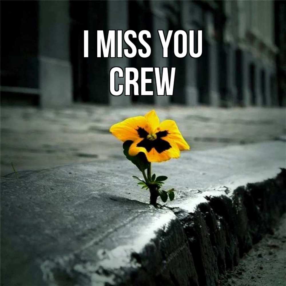 Greetings card с именем, Crew I miss you надеюсь будет лучше Greetings with text for free download 