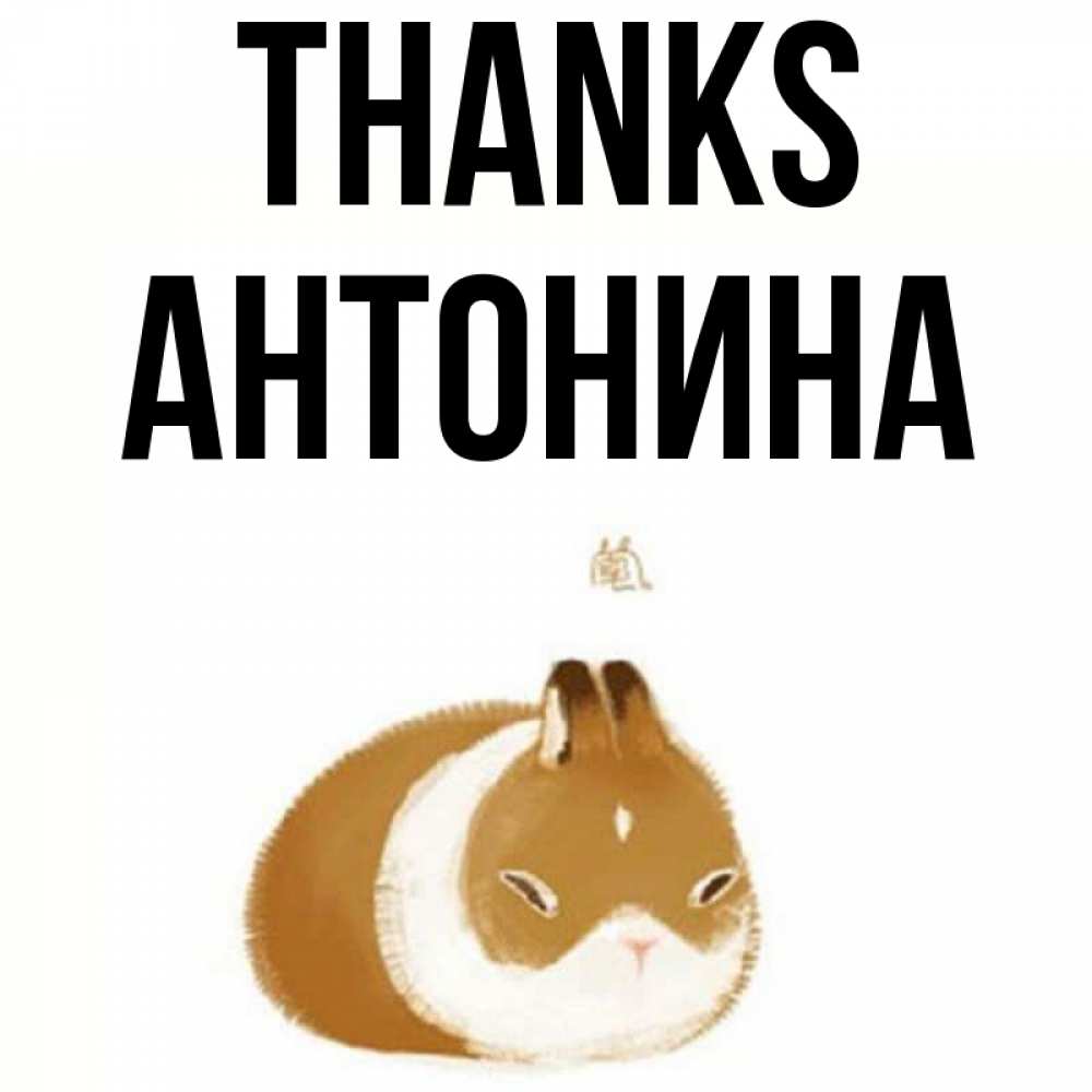 Greetings card с именем, Антонина Thanks коричнево белый домашний питомец Greetings with text for free download 