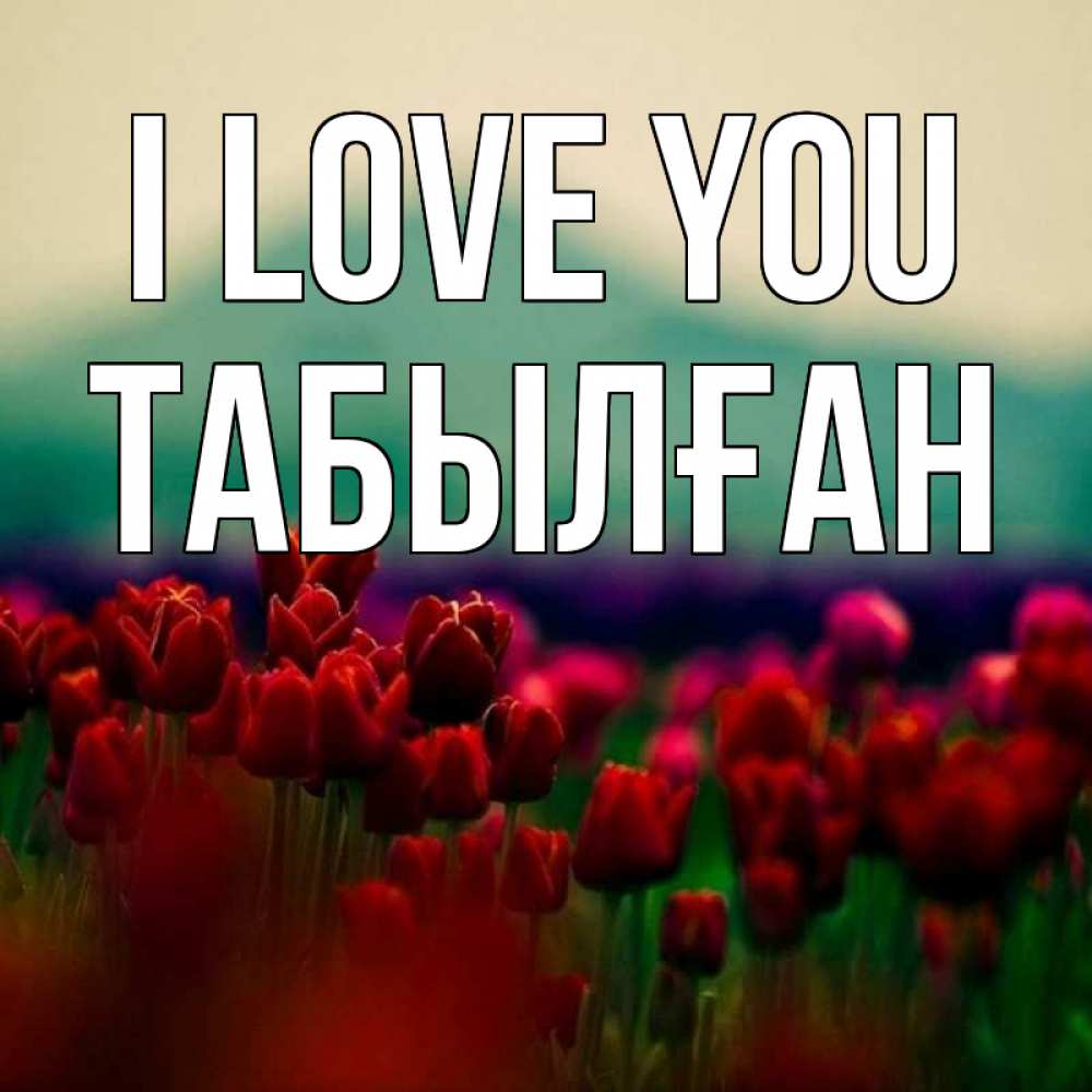Greetings card с именем, ТАБЫЛҒАН I love you тюльпаны 4 Greetings with text for free download 