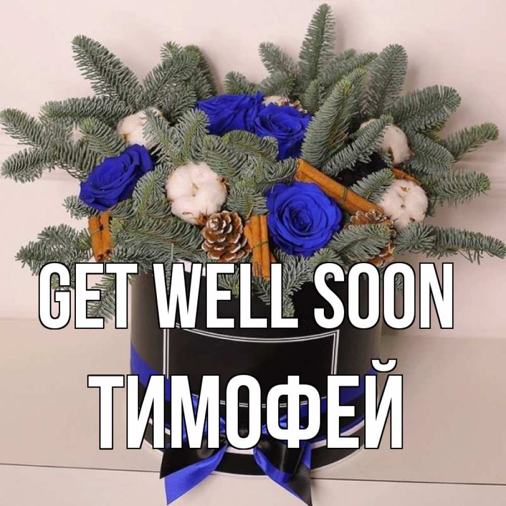 Greetings card с именем, Тимофей Get well soon короче кто то загрузил эти шишки Greetings with text for free download 