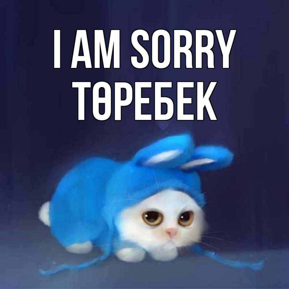 Greetings card с именем, ТӨРЕБЕК I am sorry невинный котозай просит прощения Greetings with text for free download 