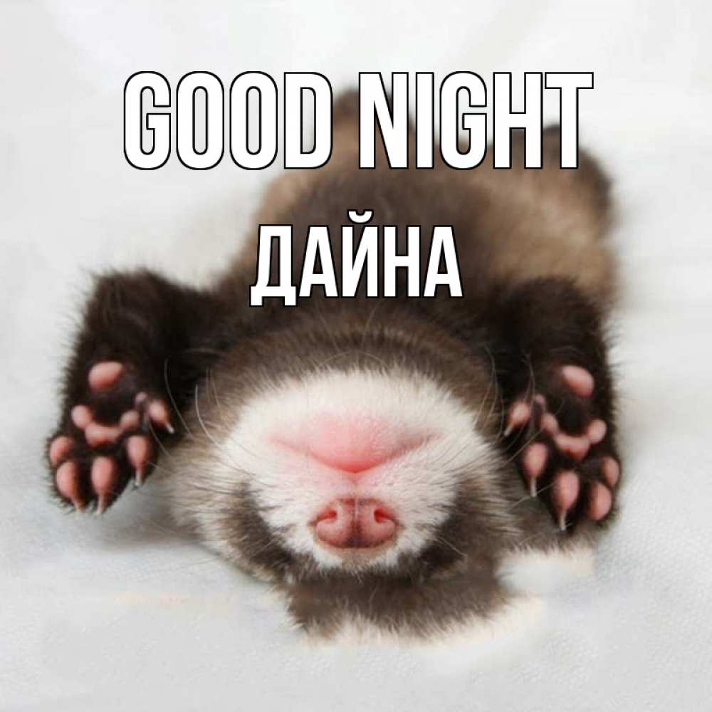 Greetings card с именем, Дайна Good night зверек Greetings with text for free download 
