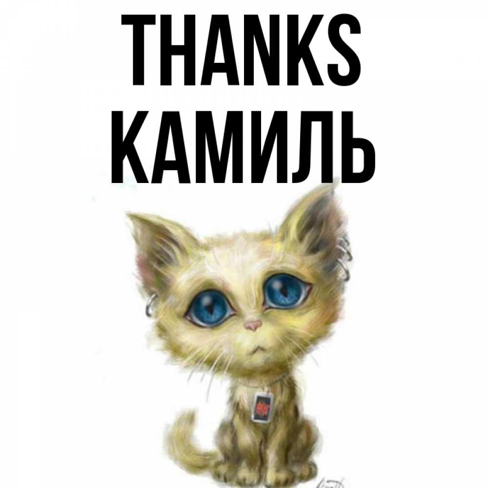 Greetings card с именем, Камиль Thanks рисованный кот благодарит вас Greetings with text for free download 