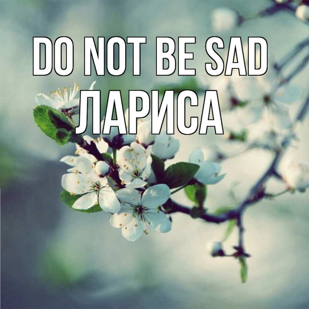 Greetings card с именем, Лариса Do not be sad яблоня в цвету 1 Greetings with text for free download 
