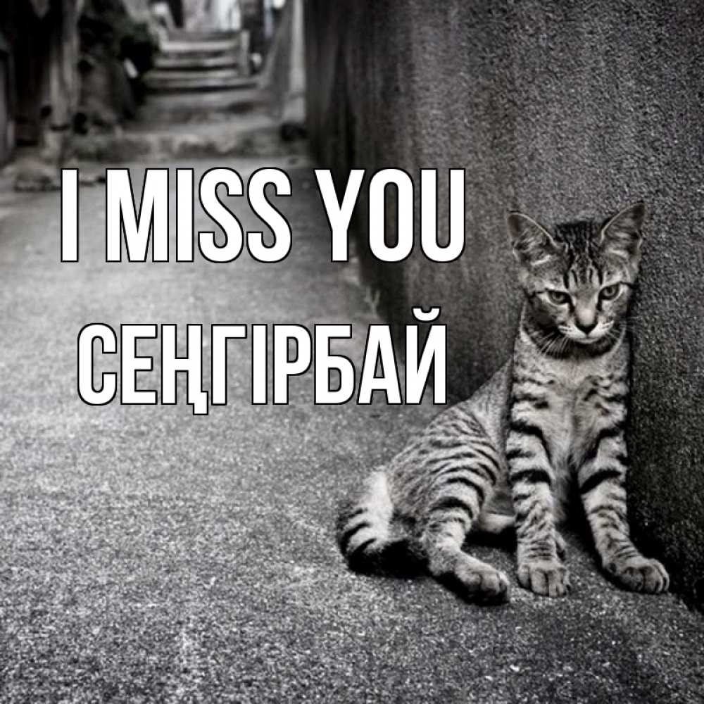 Greetings card с именем, СЕҢГІРБАЙ I miss you одиноко котику Greetings with text for free download 