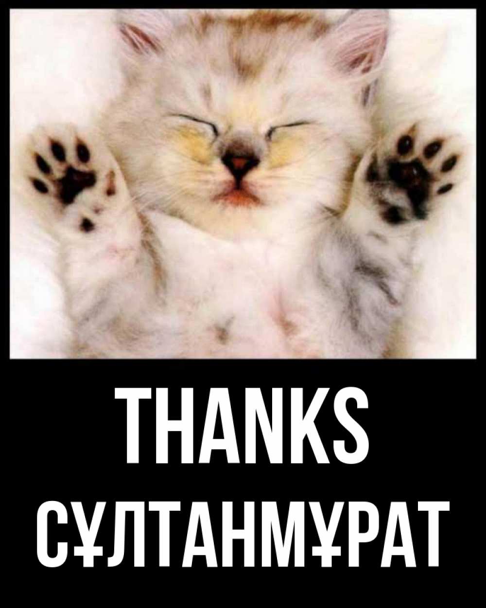 Greetings card с именем, СҰЛТАНМҰРАТ Thanks маленький котенок Greetings with text for free download 