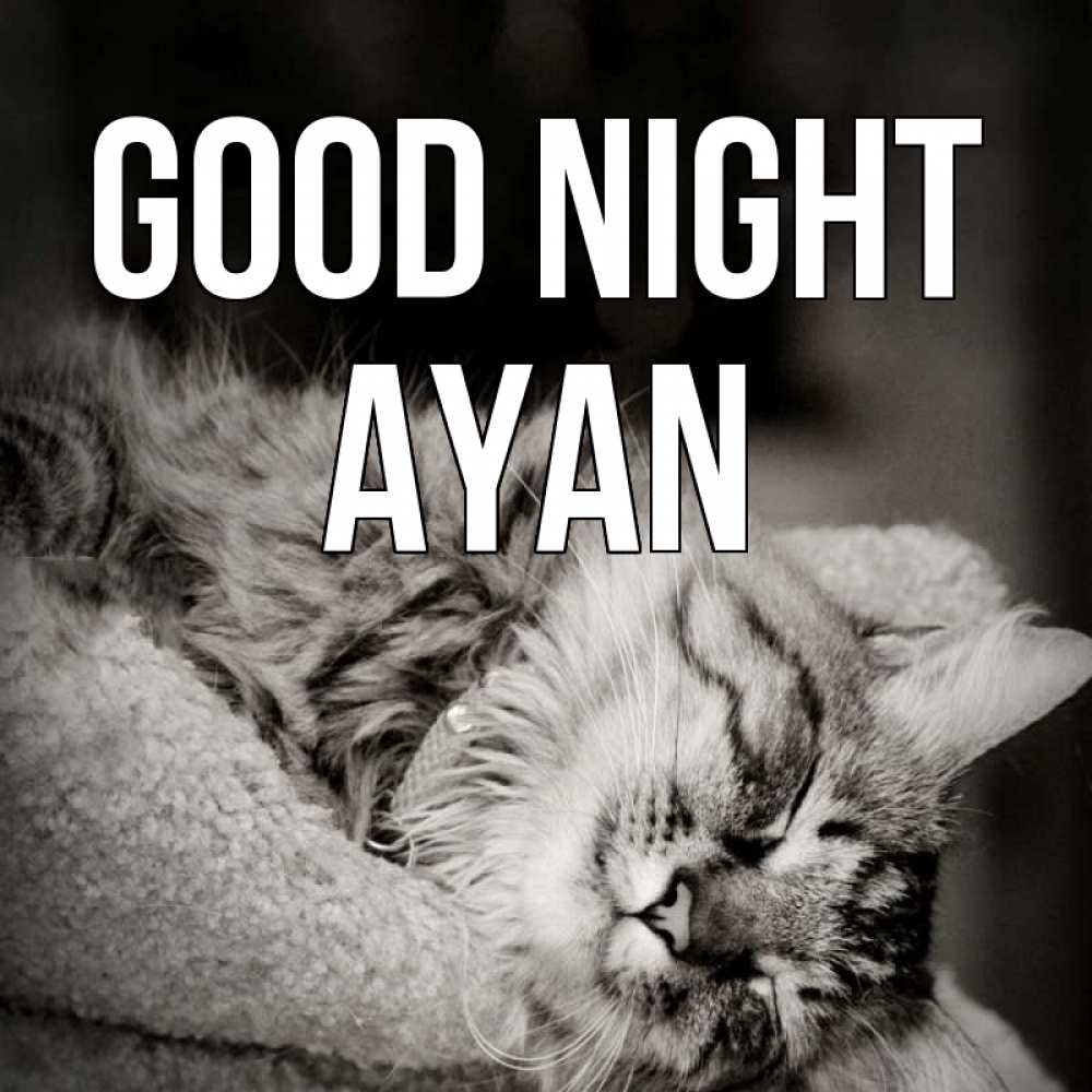 Greetings card с именем, Ayan Good night котярик пушистый Greetings with text for free download 