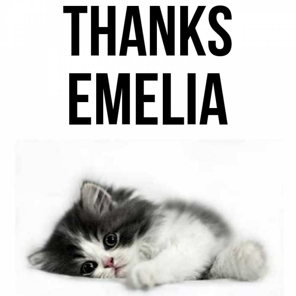 Greetings card с именем, Emelia Thanks черный и белый кот Greetings with text for free download 