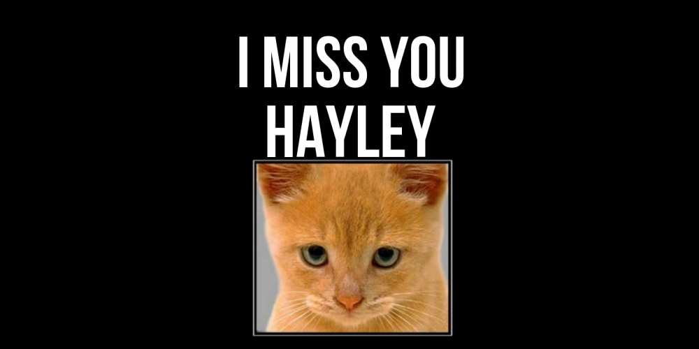 Greetings card с именем, Hayley I miss you открытки рыжий котенок скучает по тебе Greetings with text for free download 