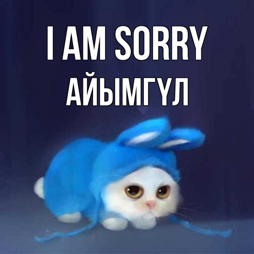 Greetings card с именем, АЙЫМГҮЛ I am sorry невинный котозай просит прощения Greetings with text for free download 