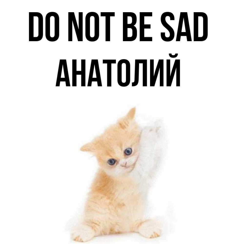 Greetings card с именем, Анатолий Do not be sad просящий кот Greetings with text for free download 