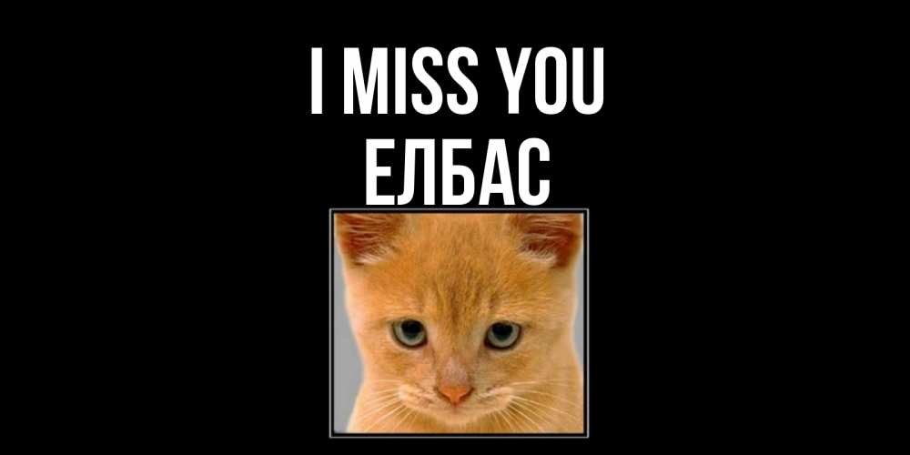 Greetings card с именем, Елбас I miss you открытки рыжий котенок скучает по тебе Greetings with text for free download 