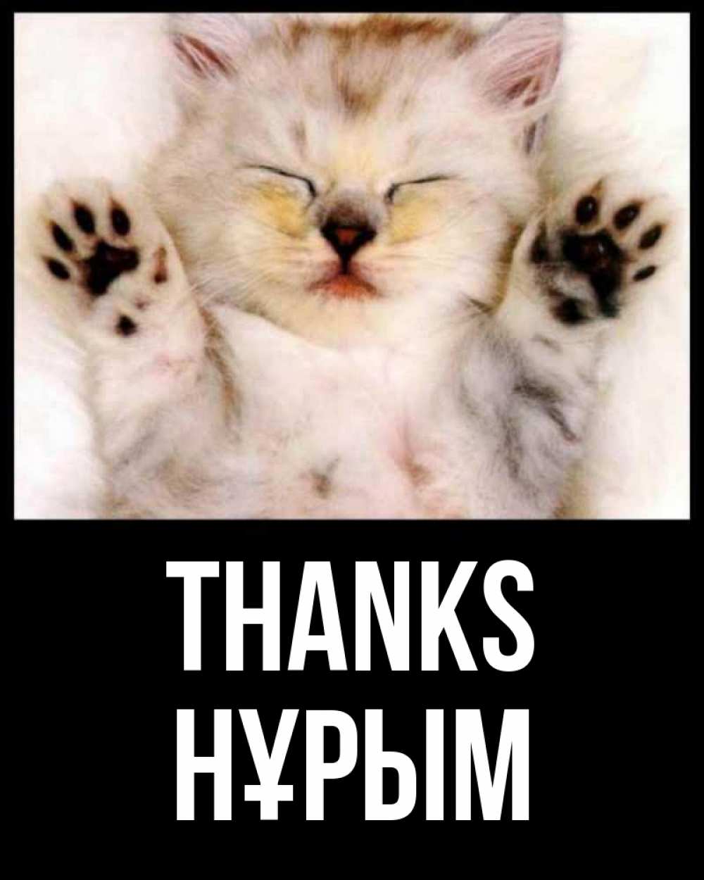 Greetings card с именем, Нұрым Thanks маленький котенок Greetings with text for free download 