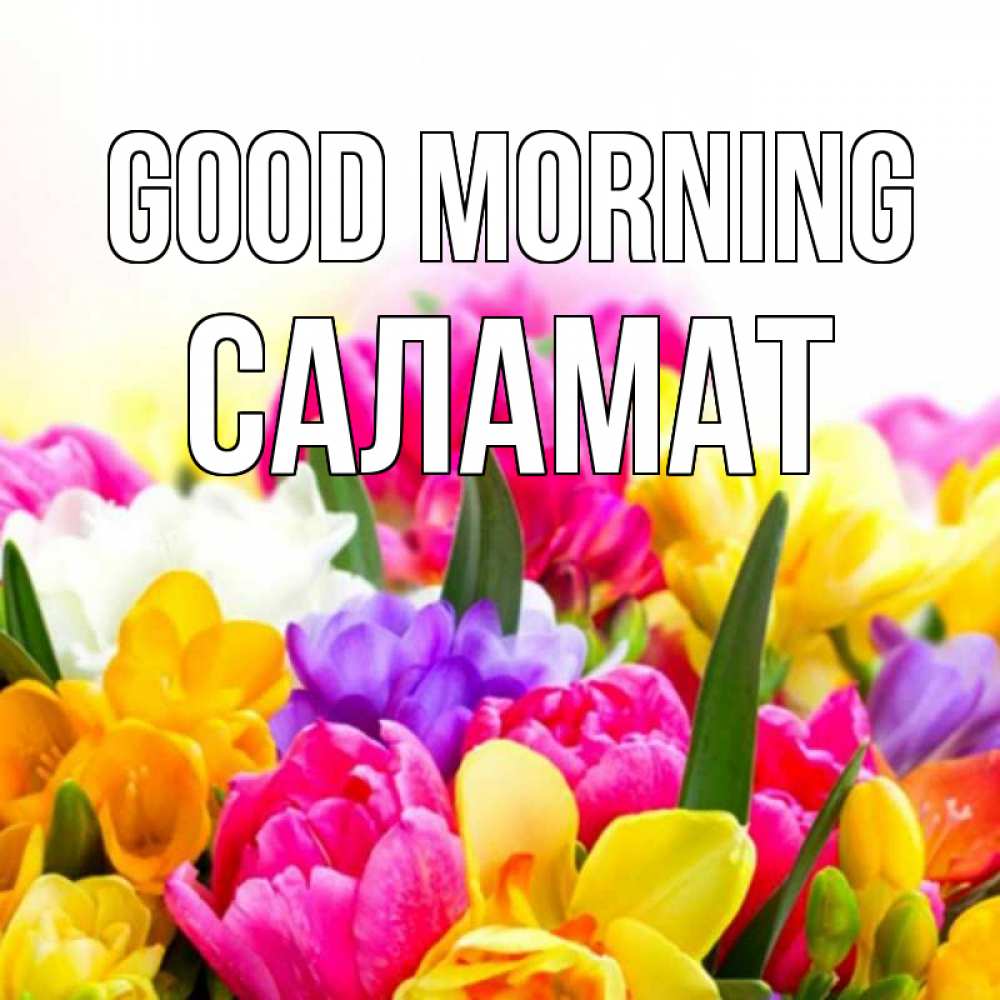 Greetings card с именем, САЛАМАТ Good morning создать открытку со свое подписью Greetings with text for free download 