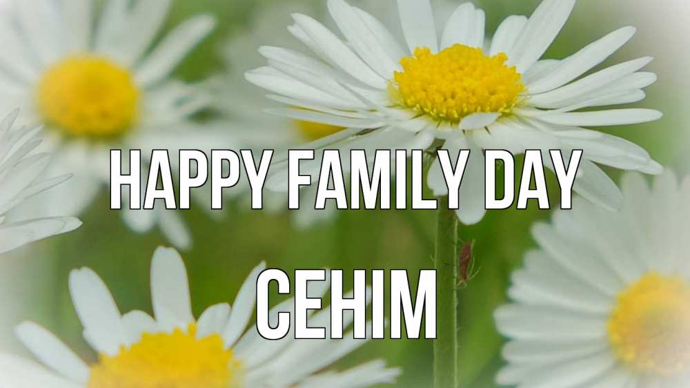 Greetings card с именем, СЕНІМ happy family day с днем семьи  1 Greetings with text for free download 