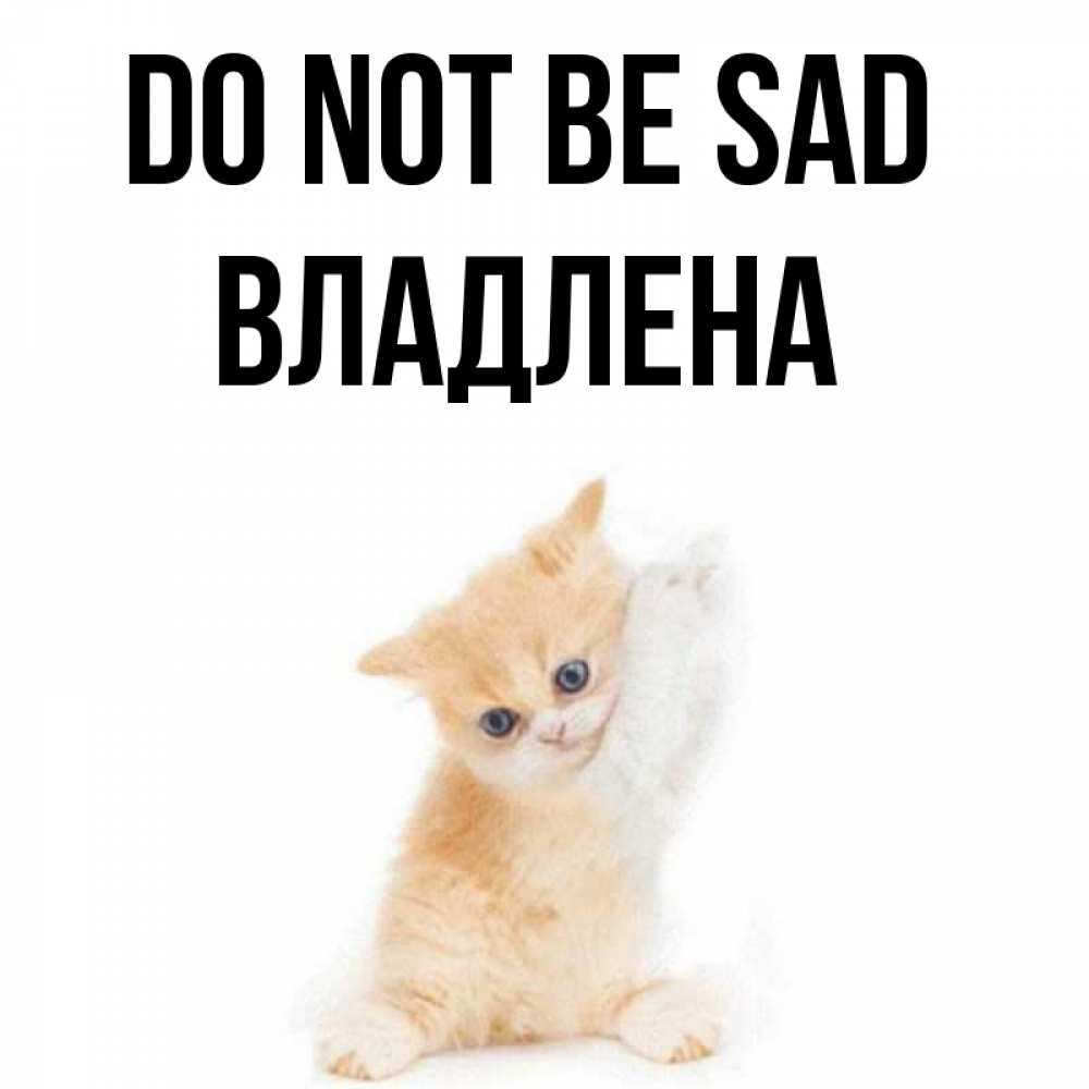 Greetings card с именем, Владлена Do not be sad просящий кот Greetings with text for free download 