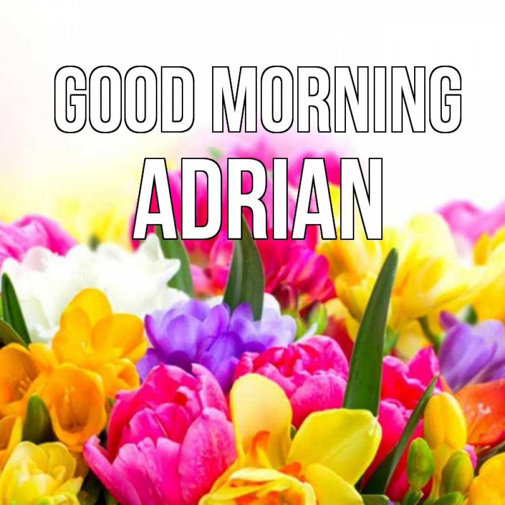 Greetings card с именем, Adrian Good morning создать открытку со свое подписью Greetings with text for free download 