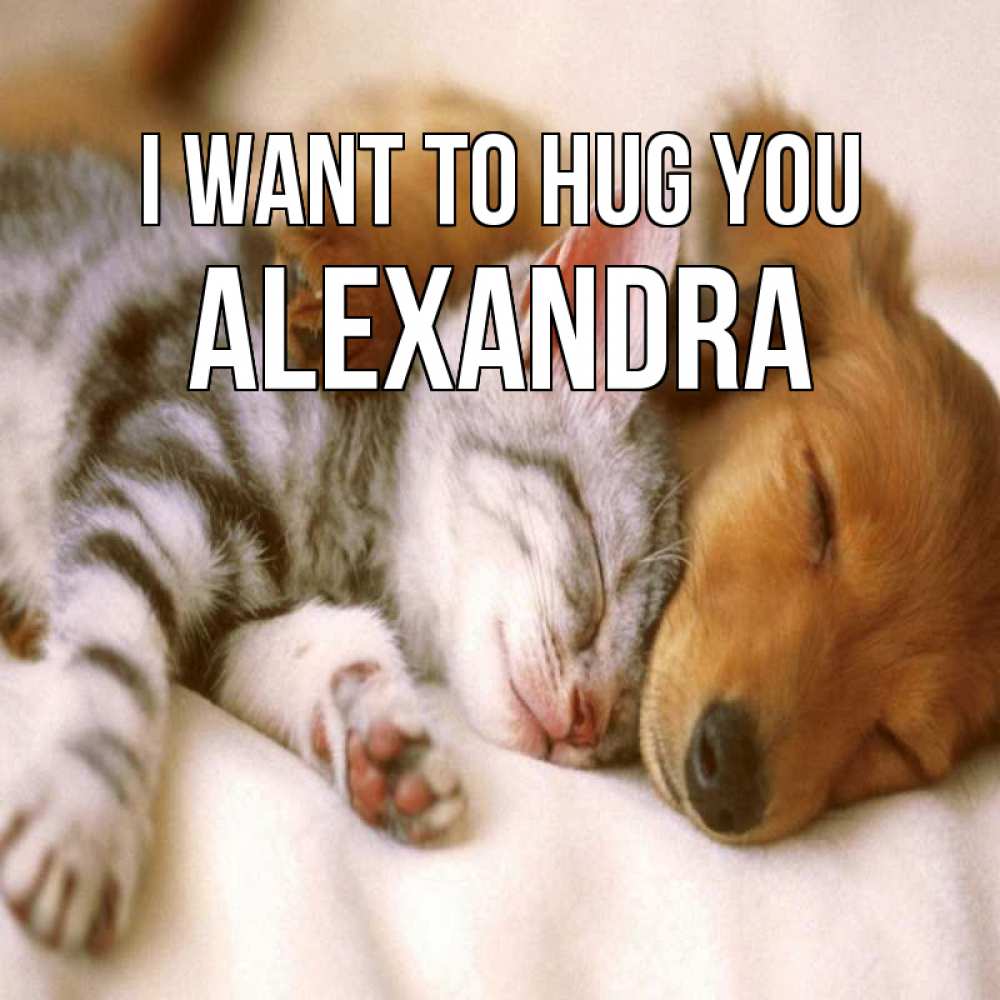 Greetings card с именем, Alexandra I want to hug you пес и котенок Greetings with text for free download 