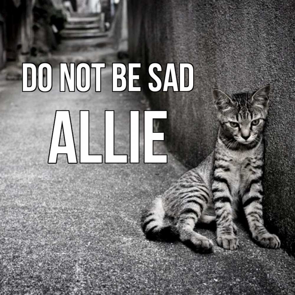 Greetings card с именем, Allie Do not be sad скучающий котик Greetings with text for free download 