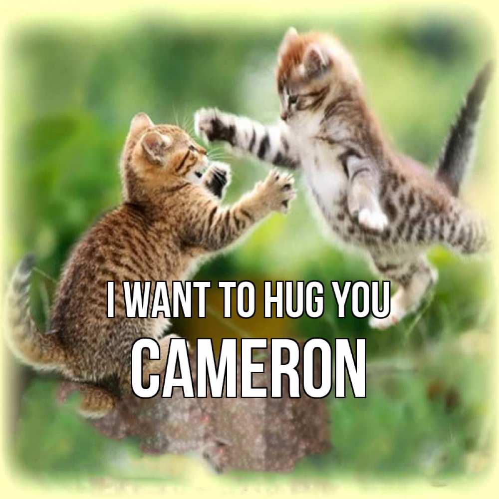 Greetings card с именем, Cameron I want to hug you игры котят Greetings with text for free download 