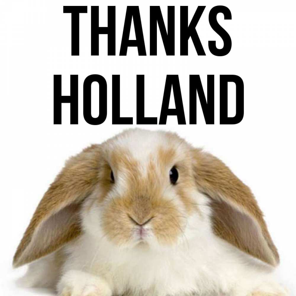Greetings card с именем, Holland Thanks коричнево белый заяц Greetings with text for free download 
