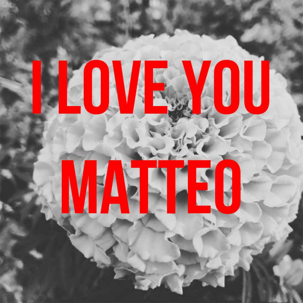 Greetings card с именем, Matteo I love you подпись Greetings with text for free download 