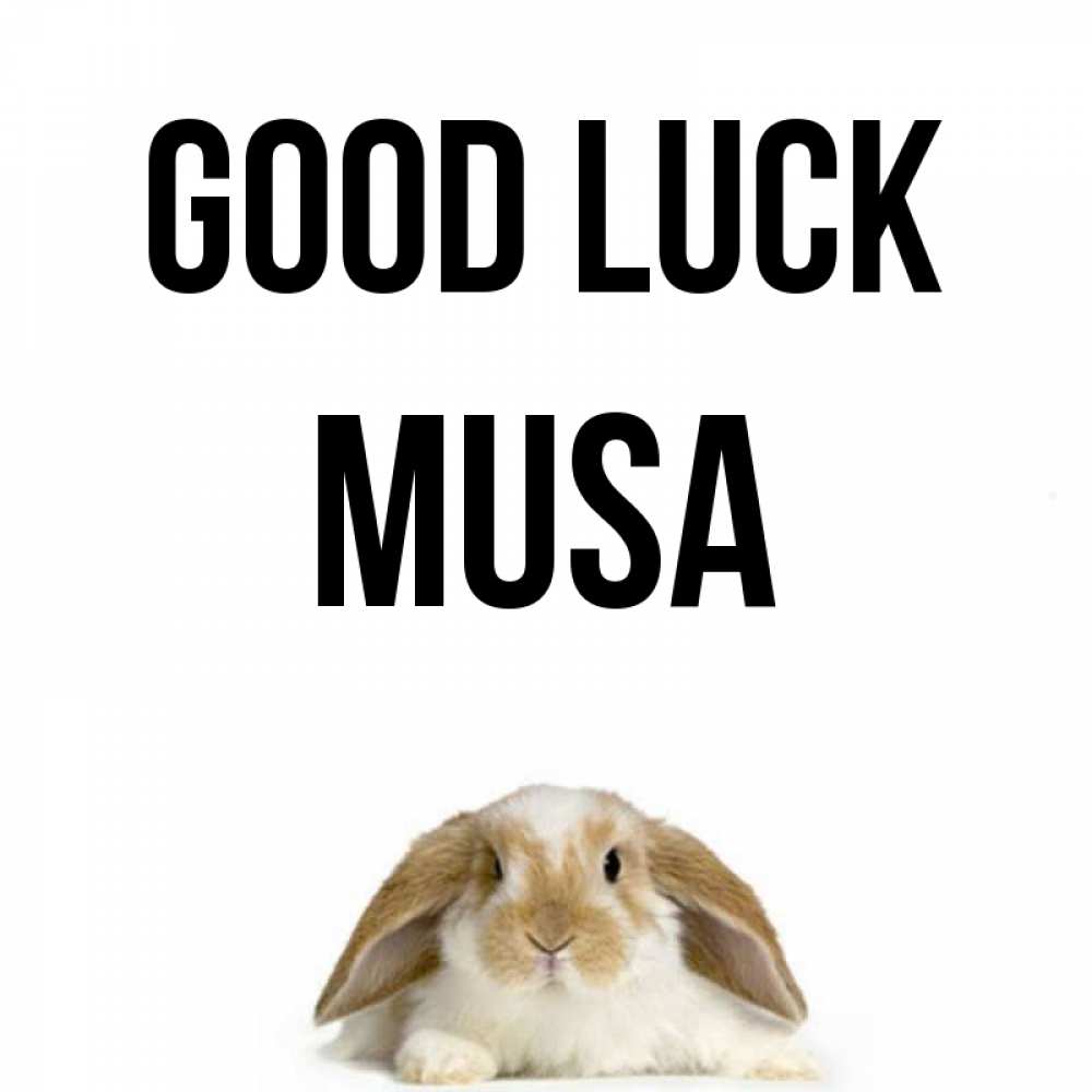 Greetings card с именем, Musa Good luck открытки с произвольным текстом который можно вставить в открытку и создать ее самостоятельно бесплатно онлайн Greetings with text for free download 