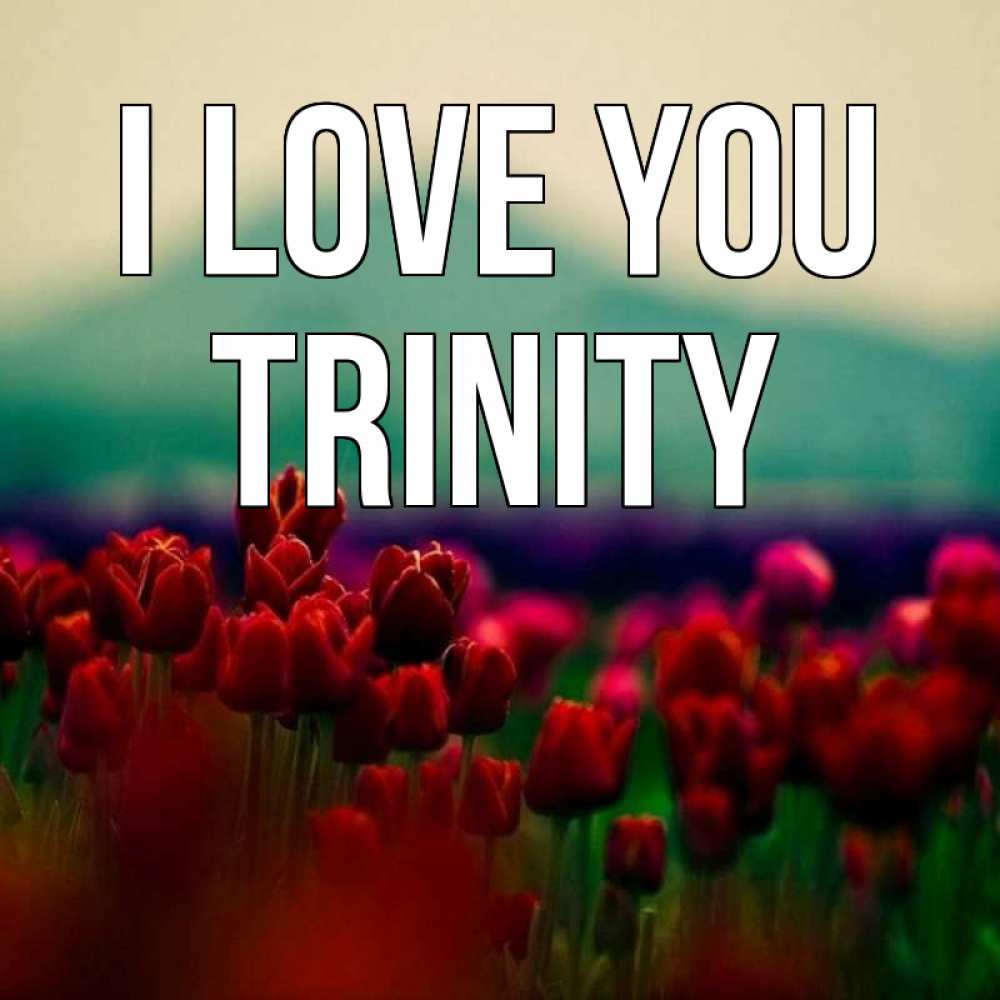 Greetings card с именем, Trinity I love you тюльпаны 4 Greetings with text for free download 