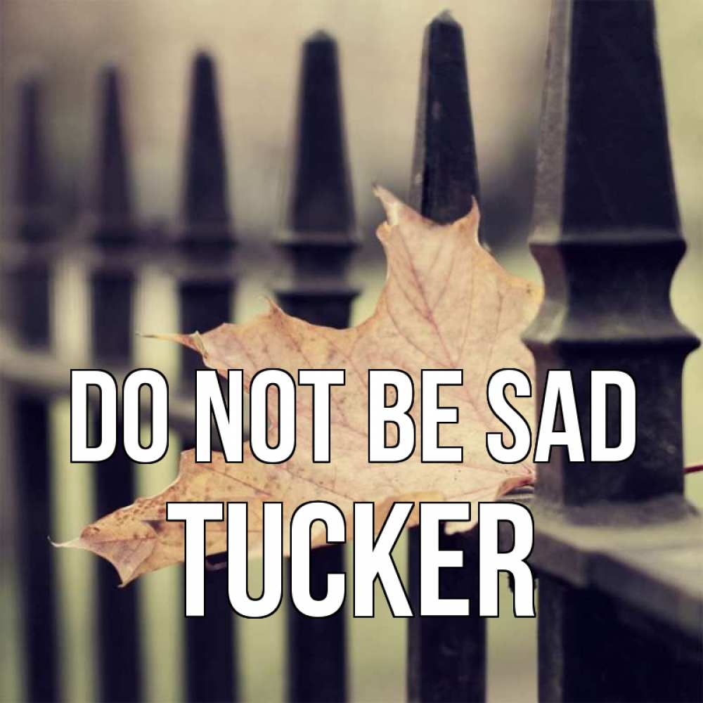 Greetings card с именем, Tucker Do not be sad лист клена Greetings with text for free download 