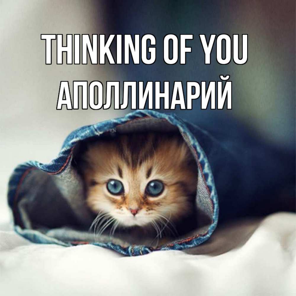 Greetings card с именем, Аполлинарий Thinking of you мне без тебя плохо Greetings with text for free download 