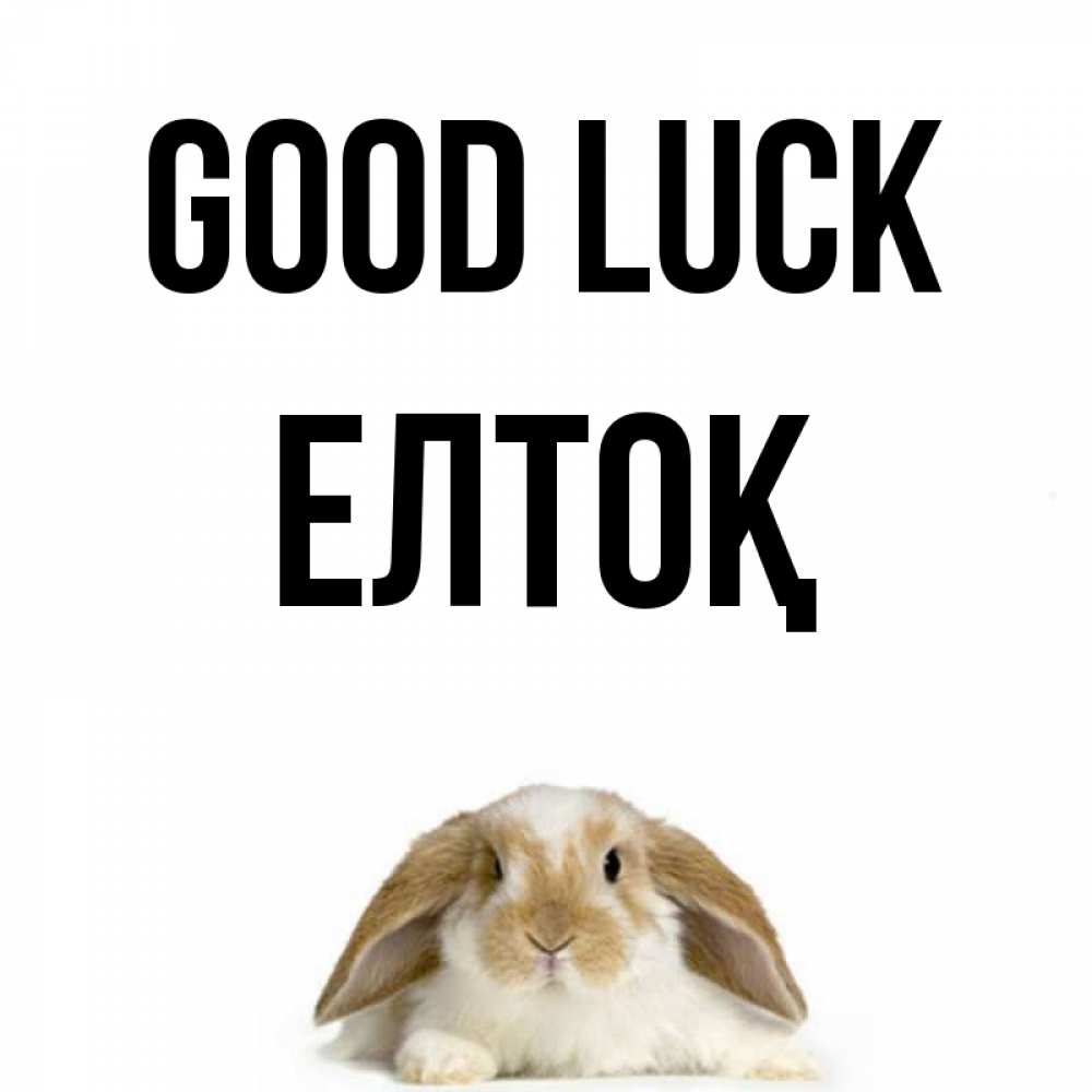 Greetings card с именем, Елтоқ Good luck открытки с произвольным текстом который можно вставить в открытку и создать ее самостоятельно бесплатно онлайн Greetings with text for free download 